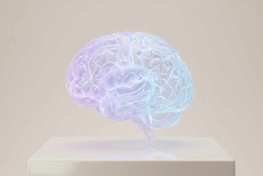 AI portfolio and model registry